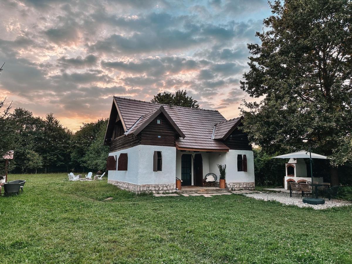 Cuib Din Fagaras Villa Avrig Exterior photo